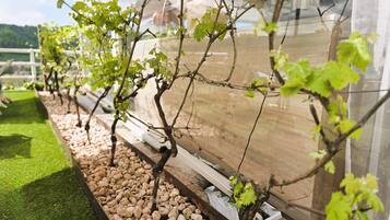 Áreas de la propiedad