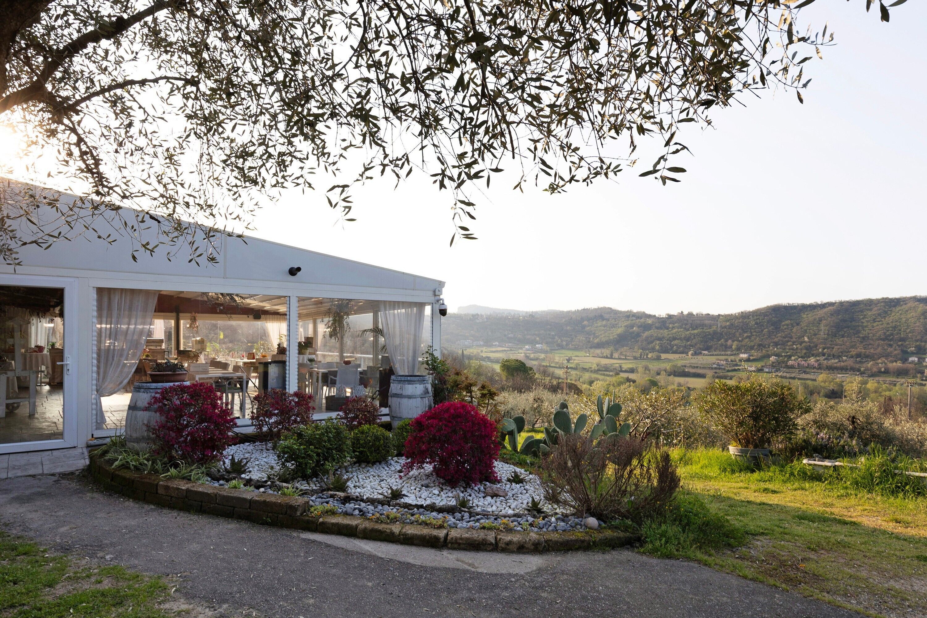 屋外ダイニングエリア