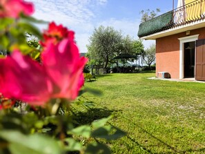 Rakennuksessa on viherkatto, katettu ulkoalue, jossa on istuimia, ja nurmikenttä.