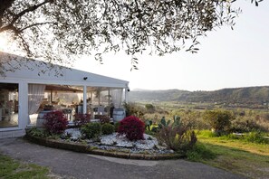 تناول الطعام بالخارج