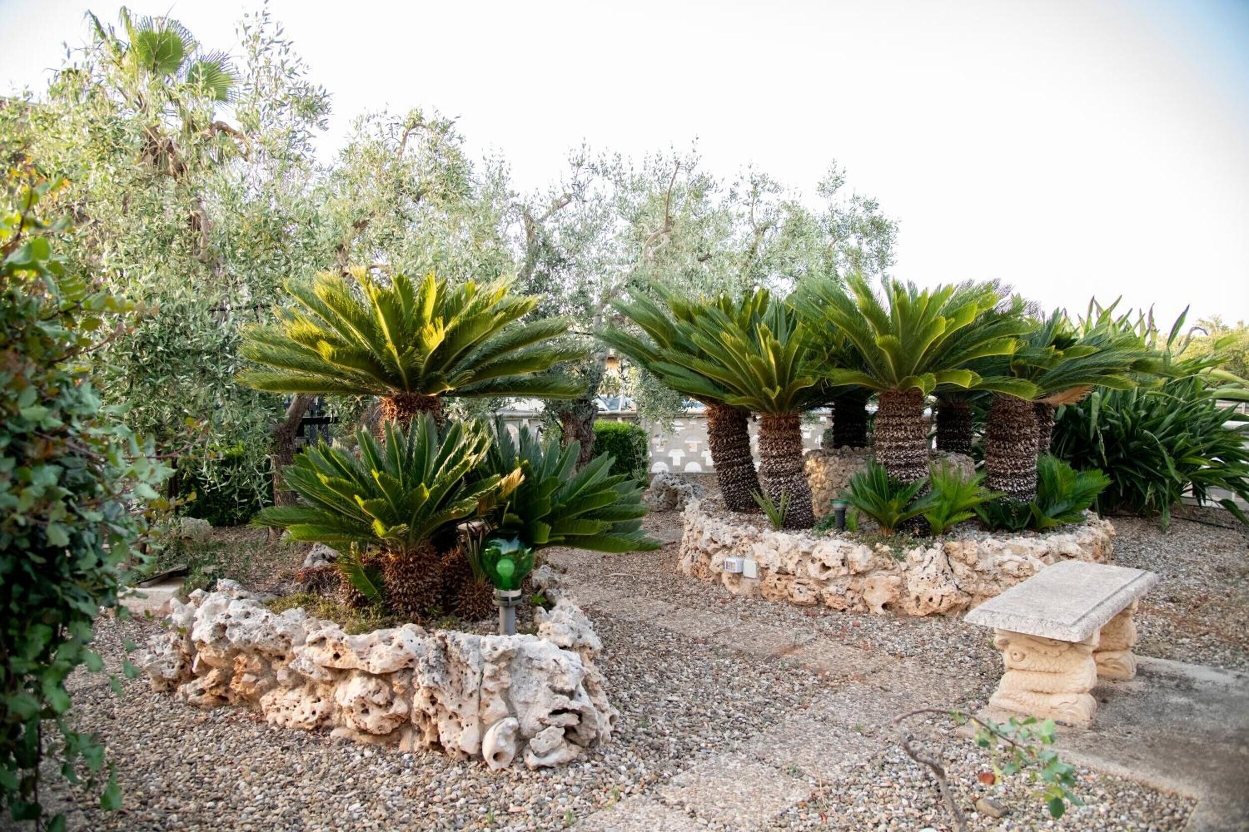 A garden with various plants and a stone bench.