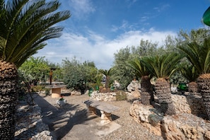 A garden with palm trees, a stone bench, and a pathway.