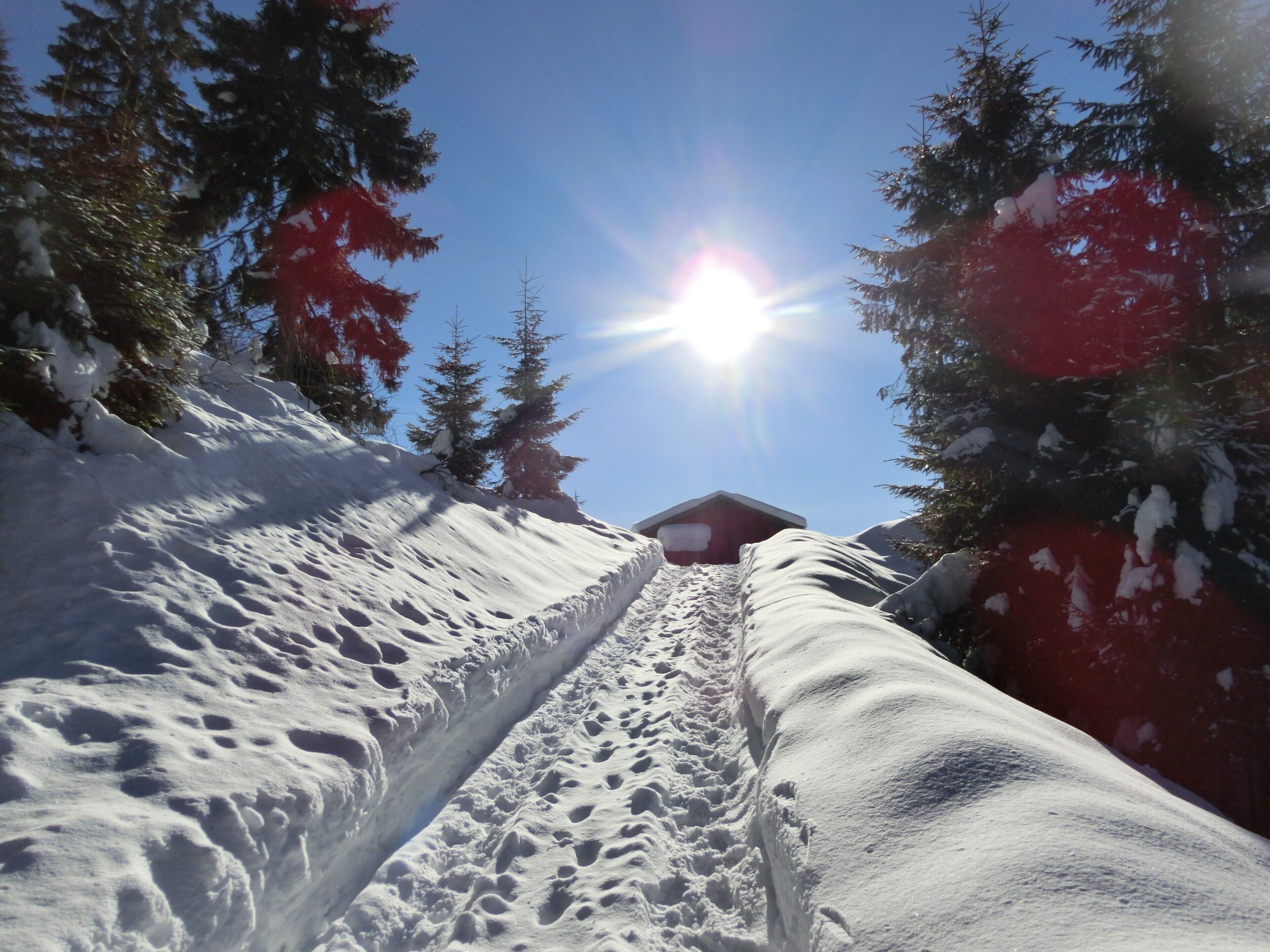 A snowy ski trail with trees and a clear sky.