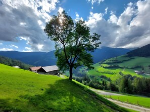 Ländliche Landschaft mit einem markanten Baum, einem Gebäude mit Satteldach und sanften, grünen Hügeln im Hintergrund.