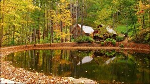 Une cabane entourée d’un étang et d’un feuillage automnal.