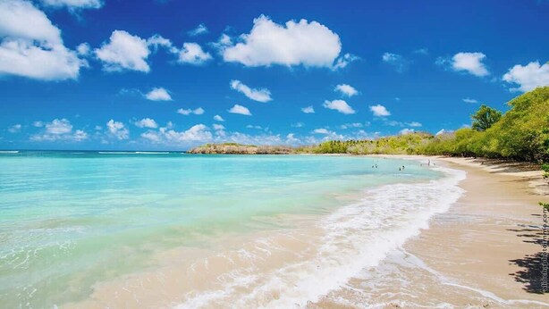 Ein Strand mit klarem türkisblauem Wasser, einem sandigen Ufer und einer entfernten Insel mit viel Grün.