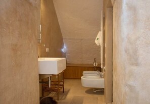 Regadera y secadora de cabello 