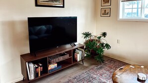 Un salón con una televisión de pantalla plana sobre un soporte de madera, una estantería con libros, una planta en maceta y una alfombra estampada.
