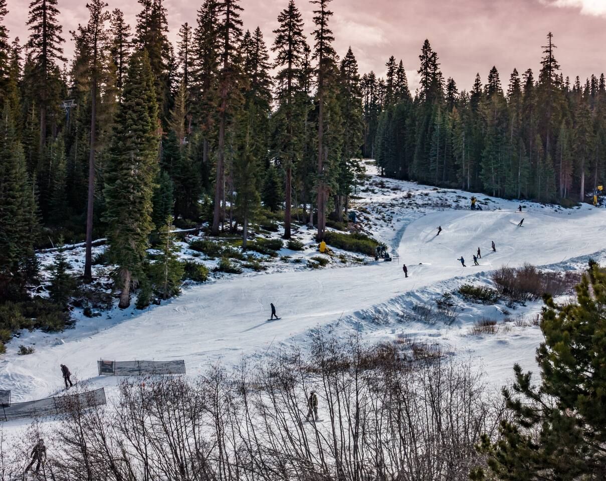Una pista de esquí nevada rodeada de altos pinos.
