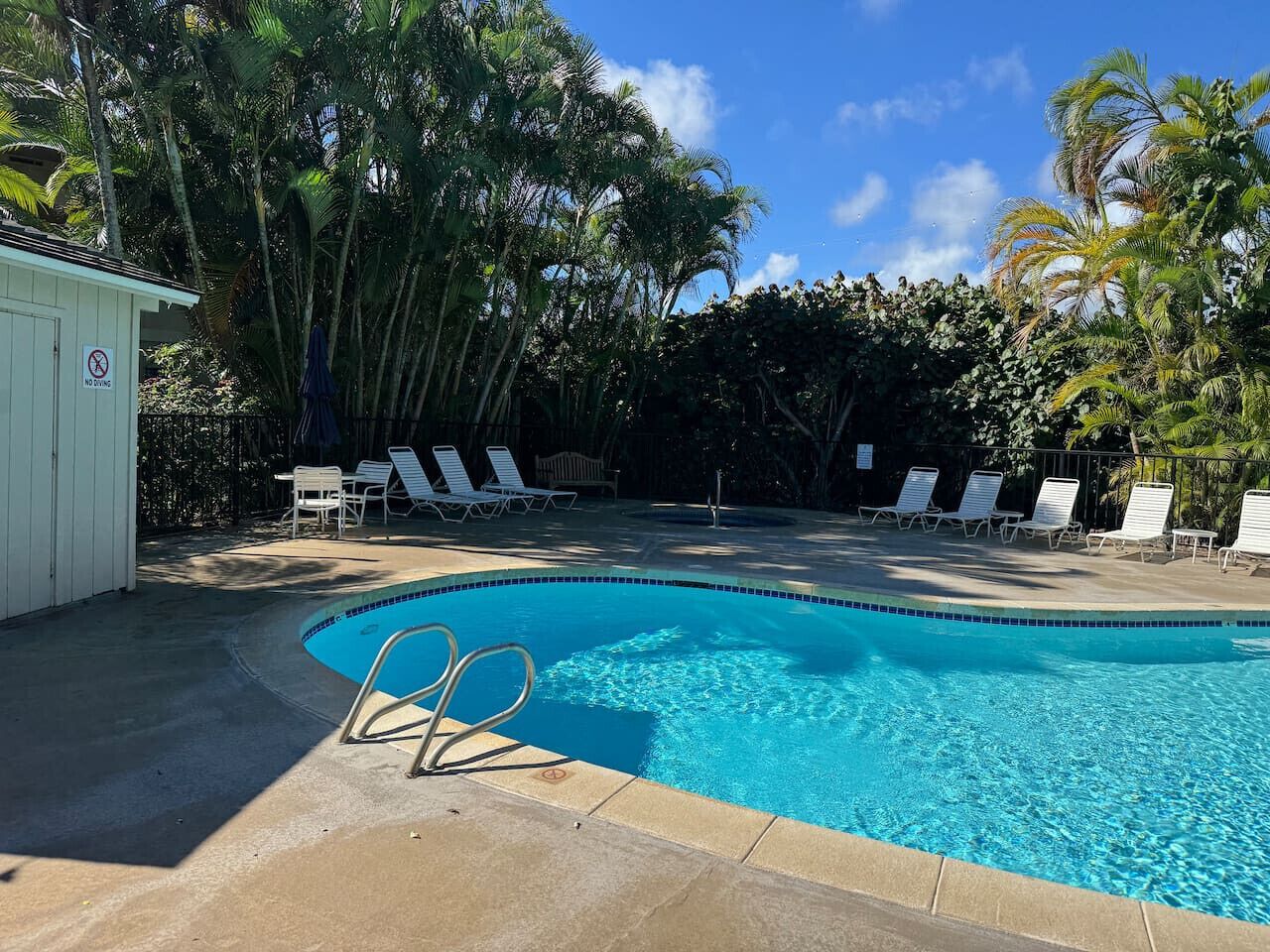 Coconut Coast Oceanview - Photo 4