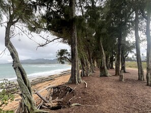 Unclassified image, 4 of 55, button