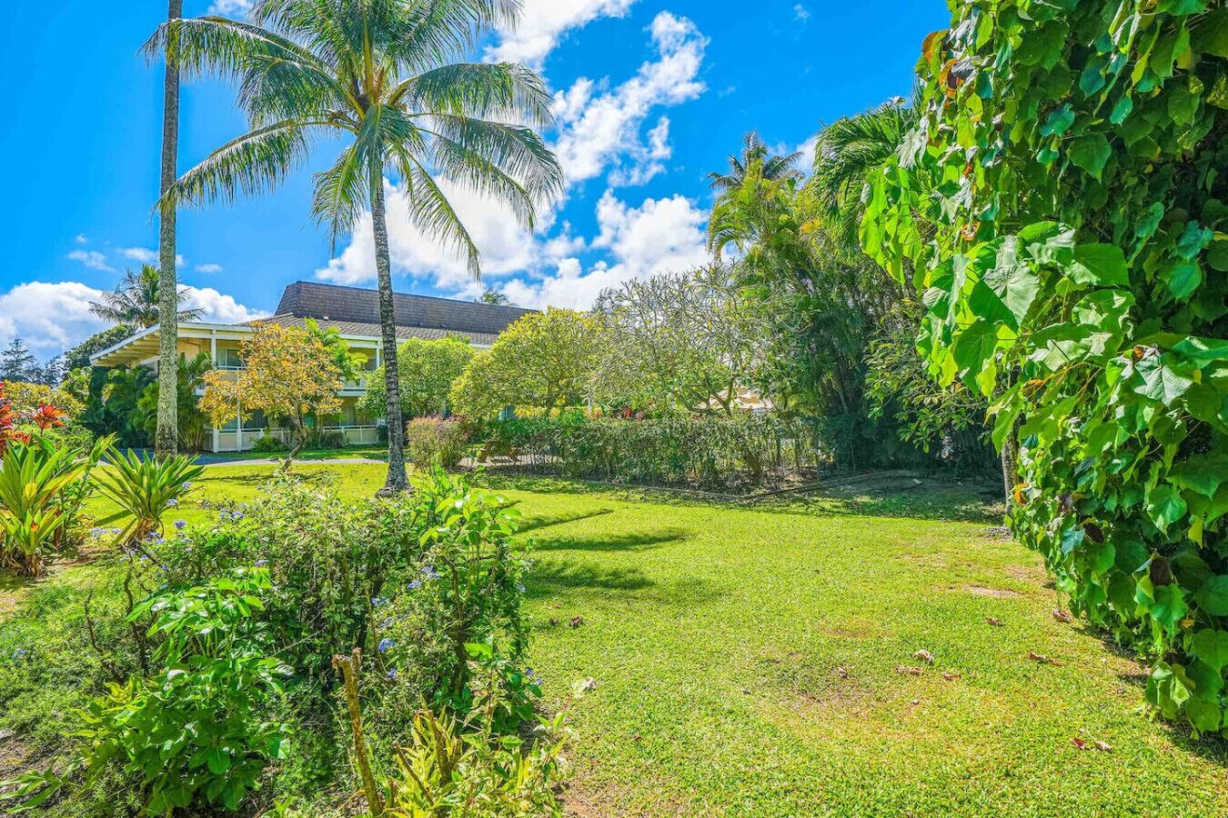 Coconut Coast Oceanview - Photo 11