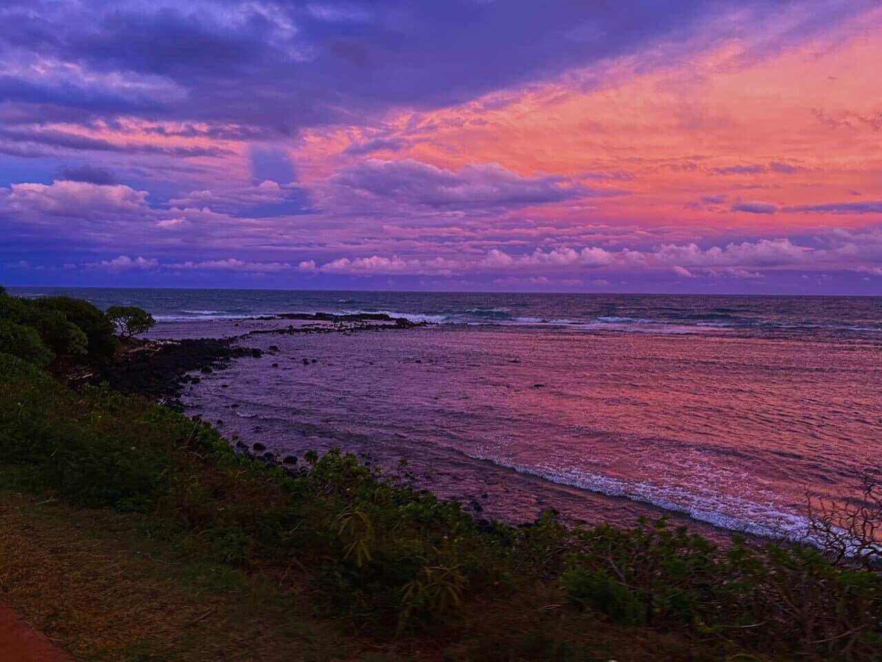 Coconut Coast Oceanview - Photo 19