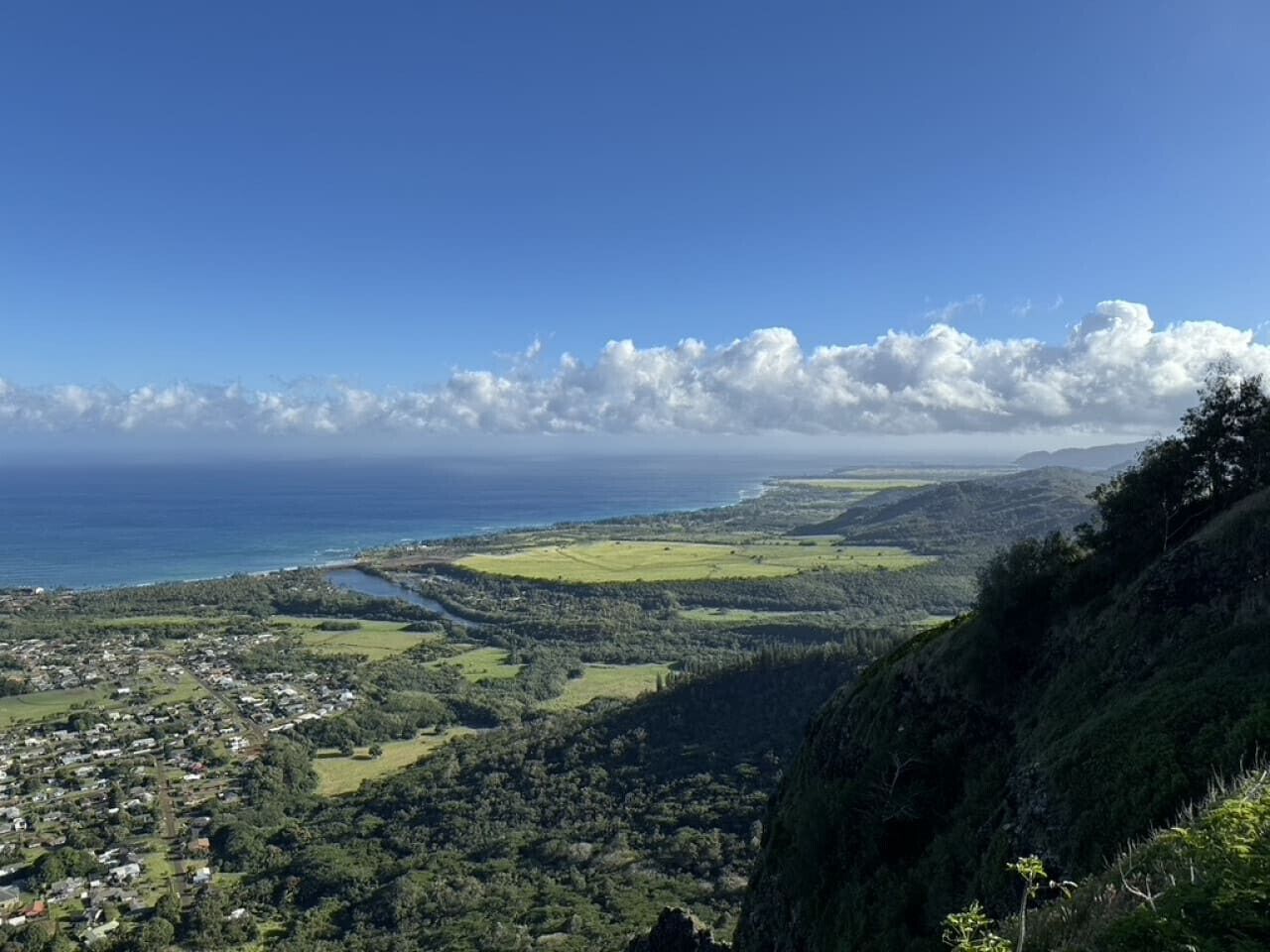 Coconut Coast Oceanview - Photo 27