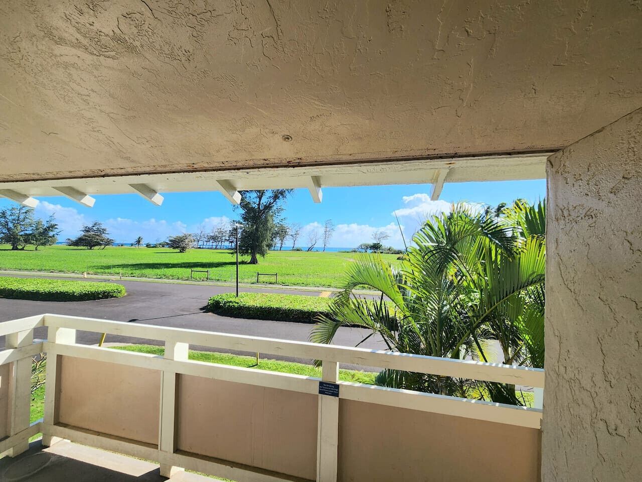 Coconut Coast Oceanview - Photo 28