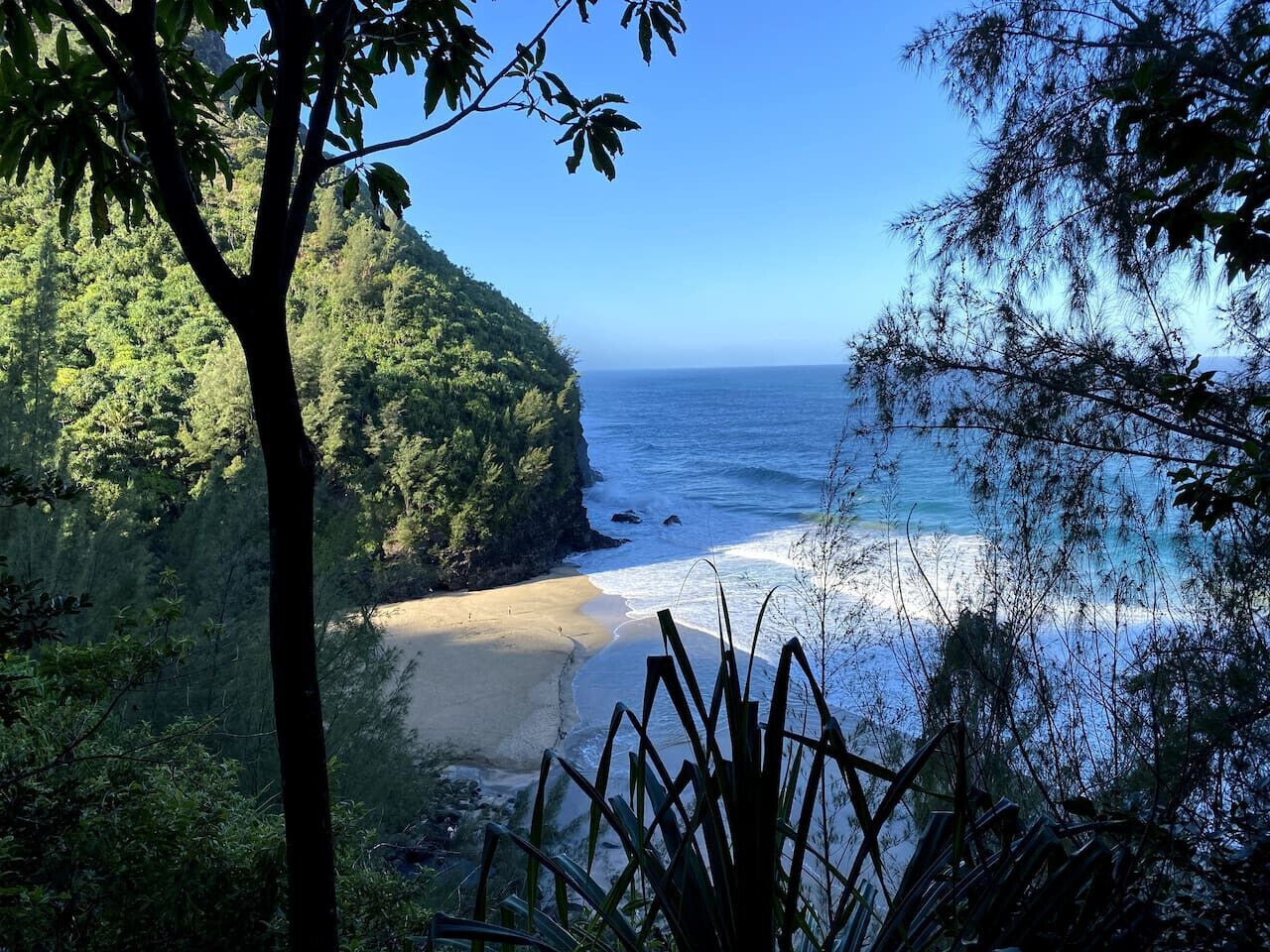 Coconut Coast Oceanview - Photo 6