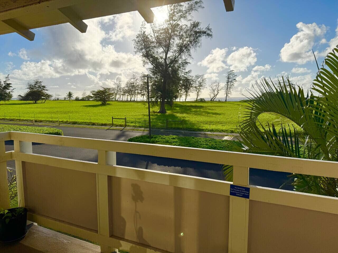 Coconut Coast Oceanview - Photo 21