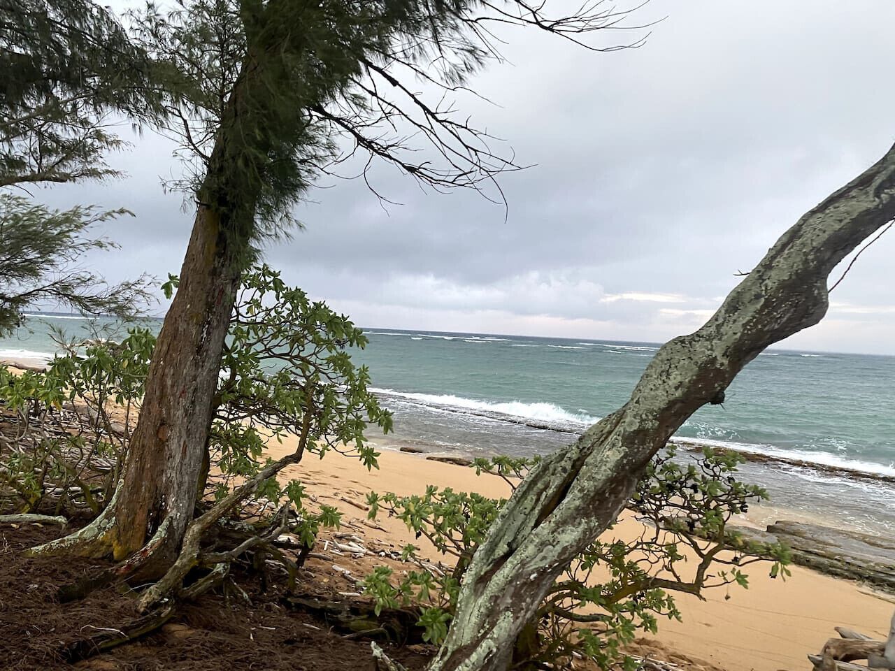 Coconut Coast Oceanview - Photo 14