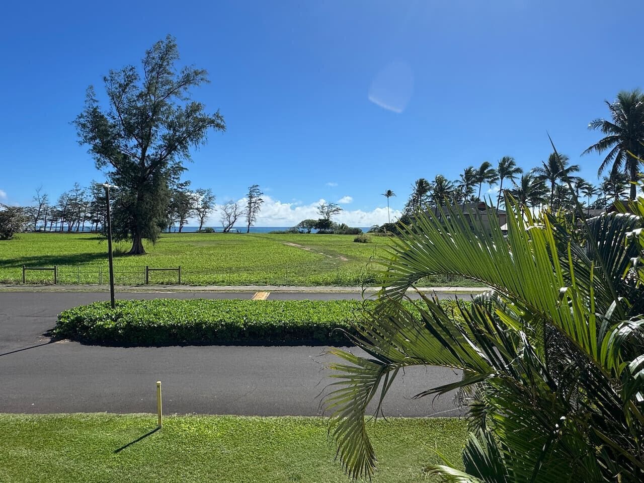 Coconut Coast Oceanview - Photo 24