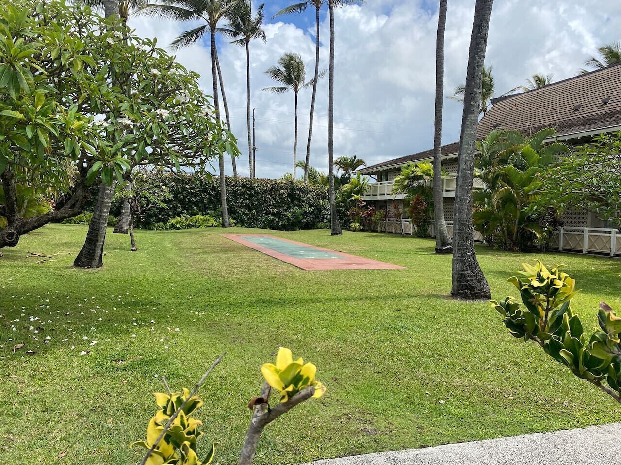 Coconut Coast Oceanview - Photo 20