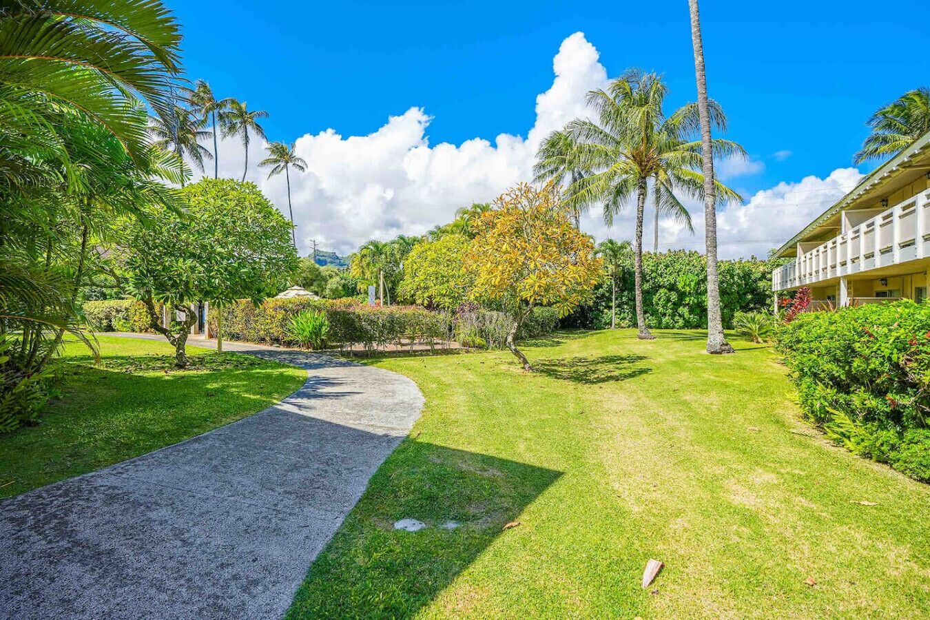 Coconut Coast Oceanview - Photo 9