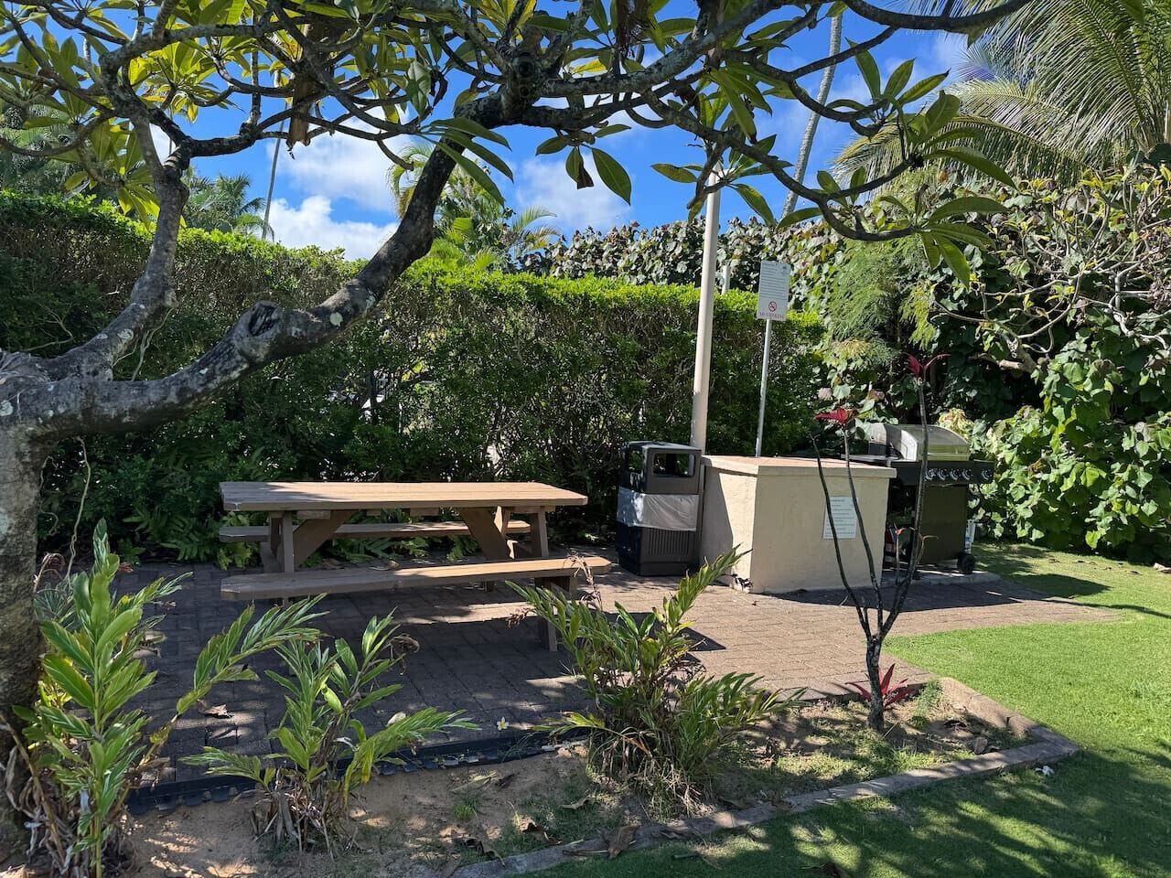 Coconut Coast Oceanview - Photo 25