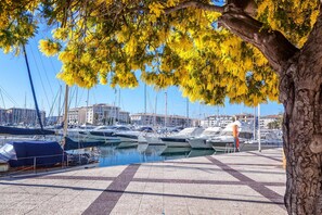 Marina