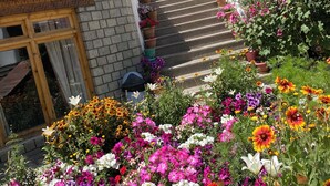Ein Hotelzugang mit einer Treppe, die zu einem Balkon führt, umgeben von farbenfrohen Blumenbeeten.