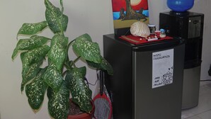 A desk with a potted plant, a painting of a sunset, a water jug, and a sign with Wi-Fi details. - San Cristobal Surf House (Puerto Baquerizo Moreno)