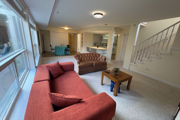 Smart-tv och eldstad