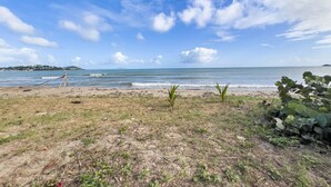 Ein Strand mit blauem Himmel, Meer und spärlicher Vegetation.