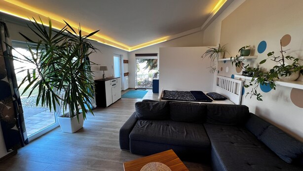 Un salon moderne avec un canapé gris foncé, une table basse en bois et une grande plante en pot.