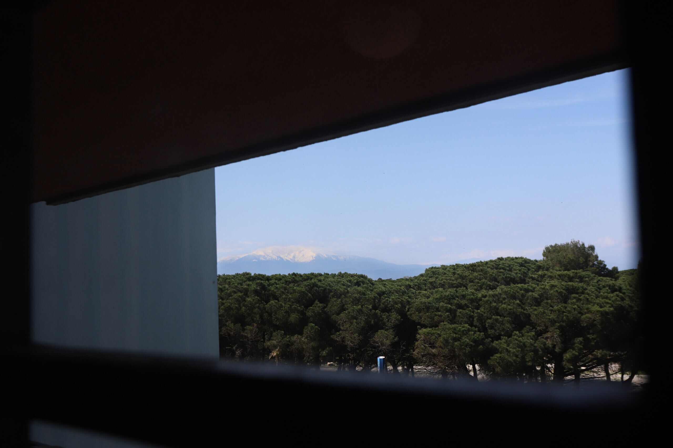 Vista pela janela com montanha ao fundo e floresta densa em primeiro plano.