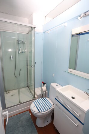 Shower, hair dryer - Apartment with its feet in the water St Cyprien (Saint-Cyprien)