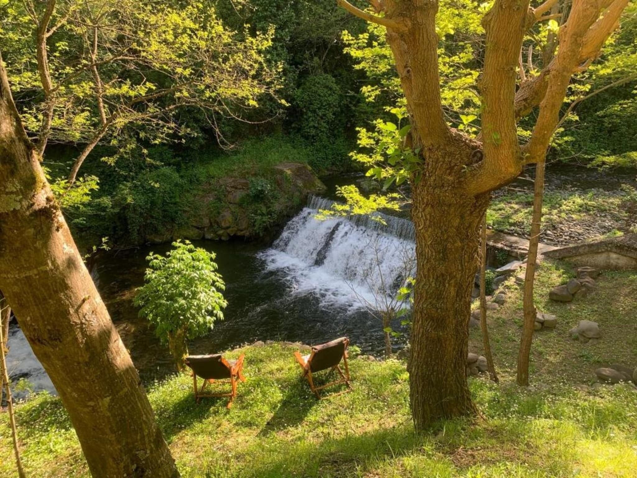 A waterfall in a forested area with two wooden benches under trees.