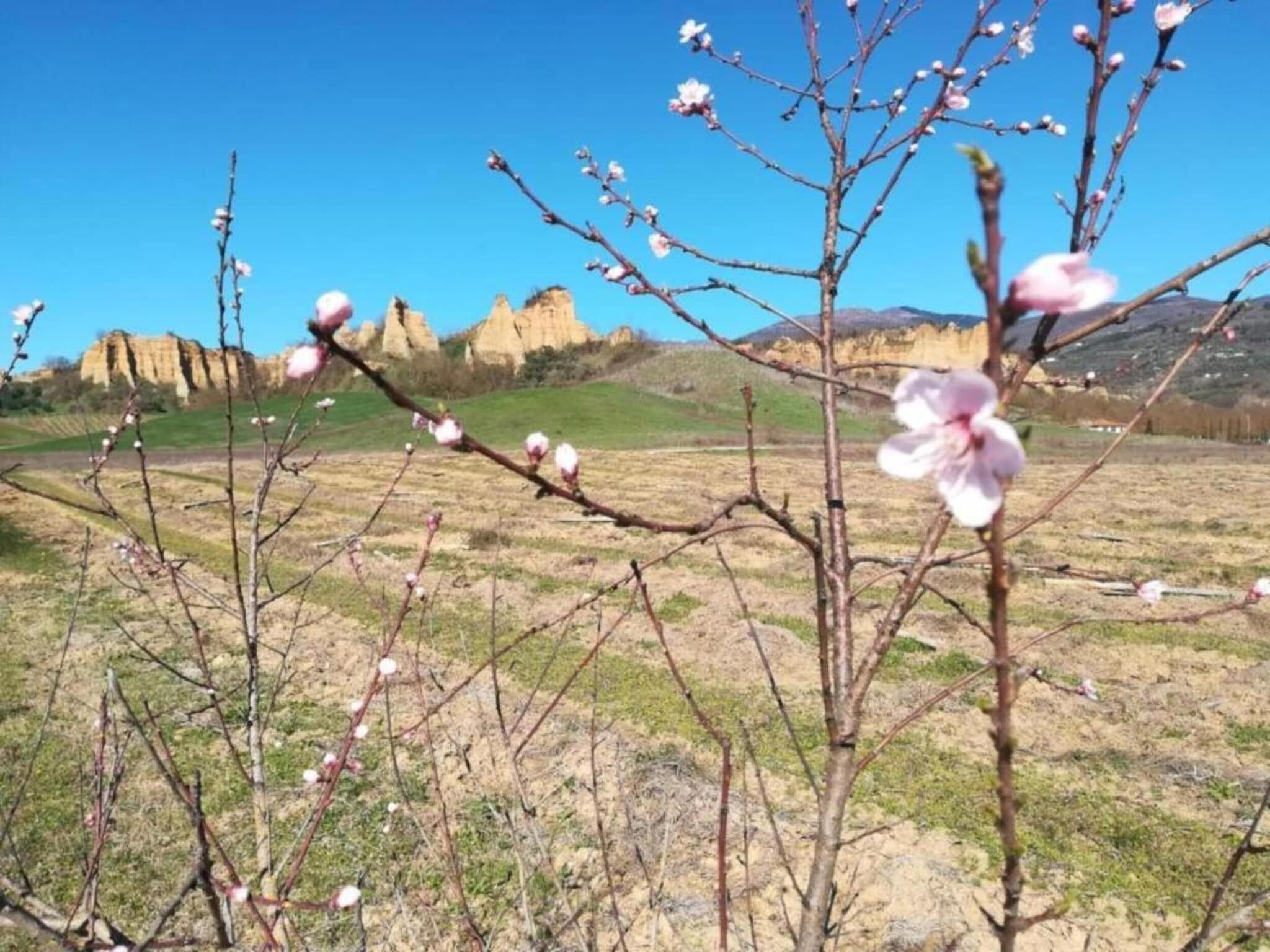 منوع