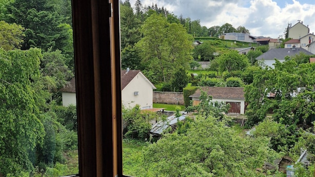 A view from a window overlooking a residential area with houses, trees, and a cloudy sky. - Lovely studio 15min walk from Epinal town center (Chantraine)
