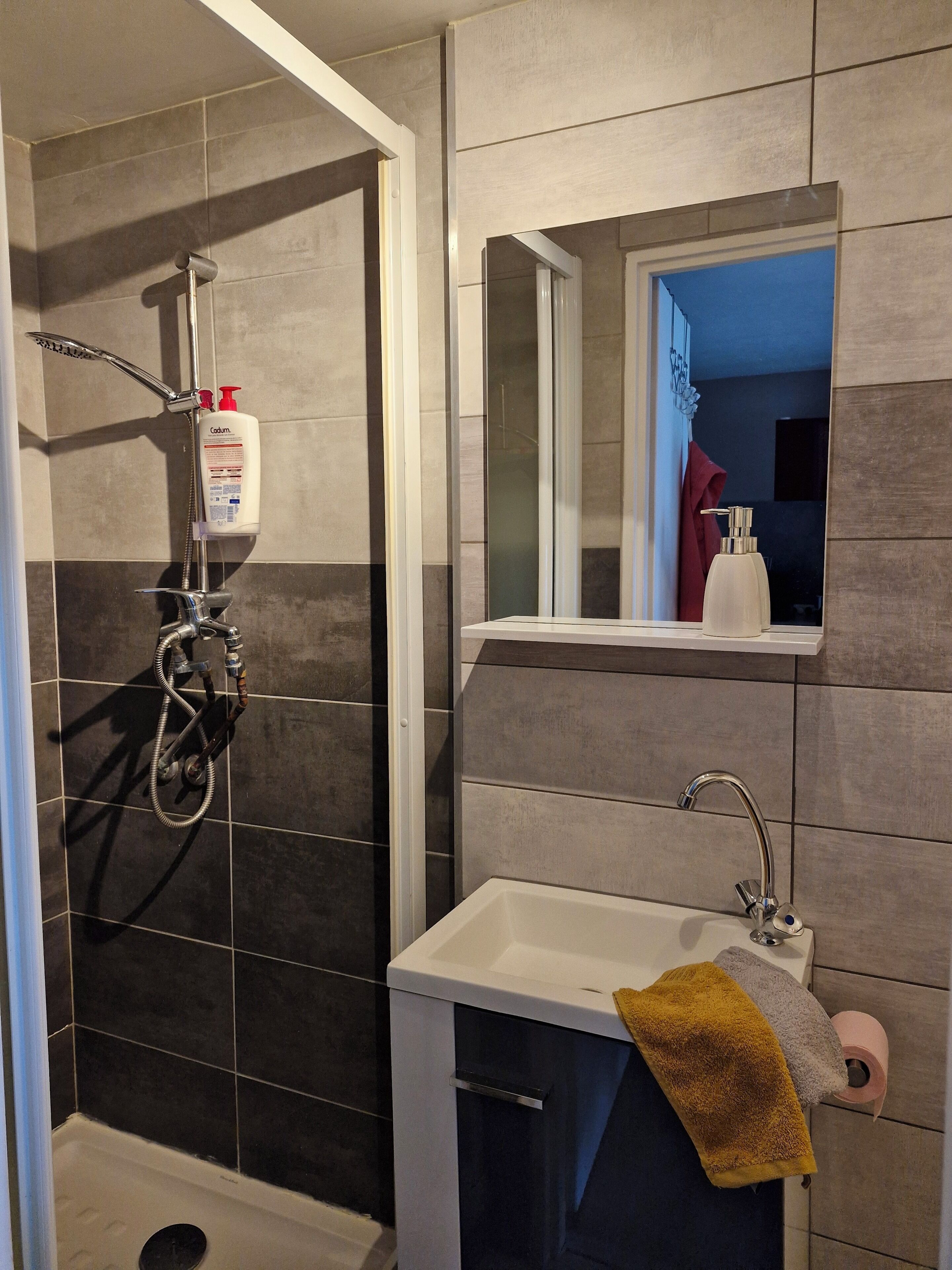 Dusch, hårtork, handdukar och tvål