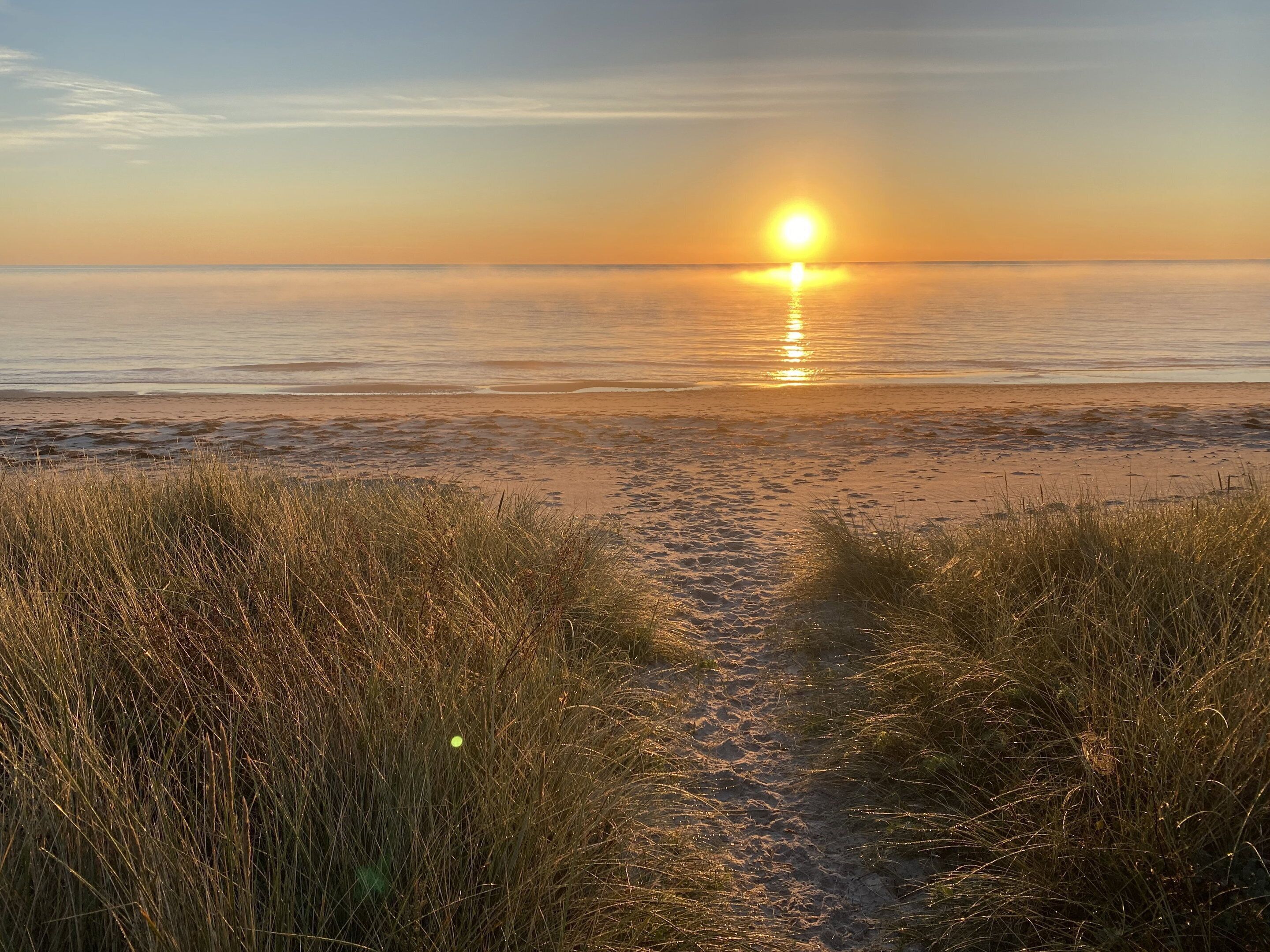 Strand