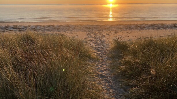 A beach path leading to the ocean with a sunset in the background. - Super cozy holiday home in Marielyst (Væggerløse)