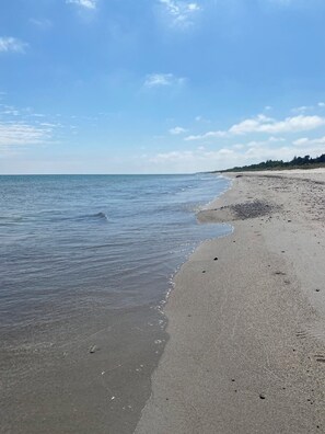 A beach with a clear sky, calm sea, and a distant tree line.