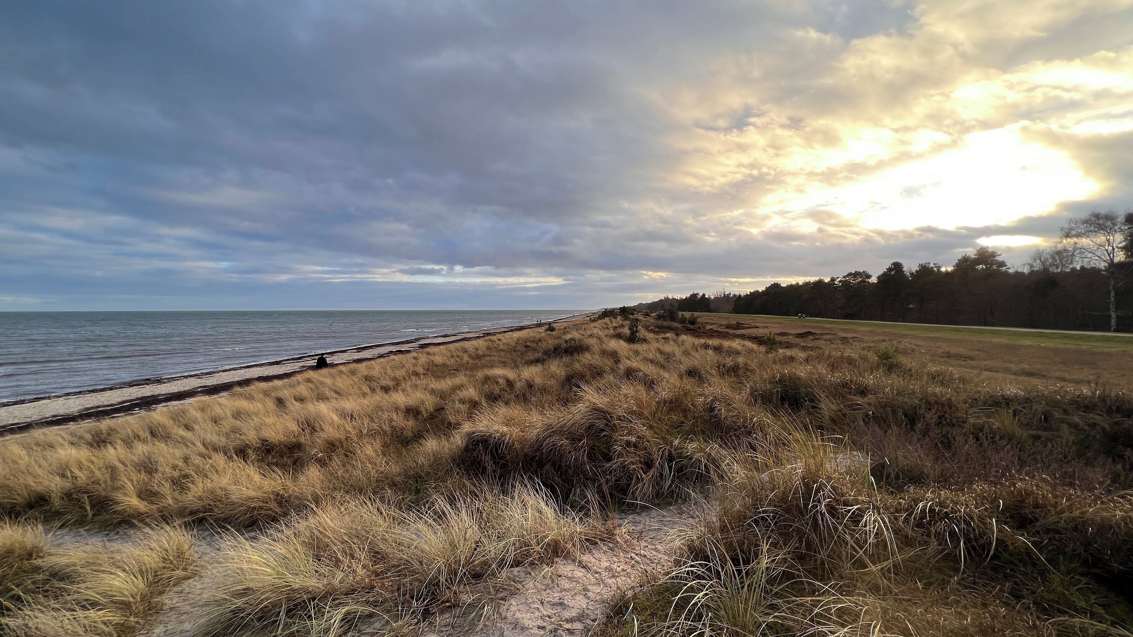 Un paisaje costero con una playa arenosa, dunas cubiertas de hierba y un área boscosa al fondo.