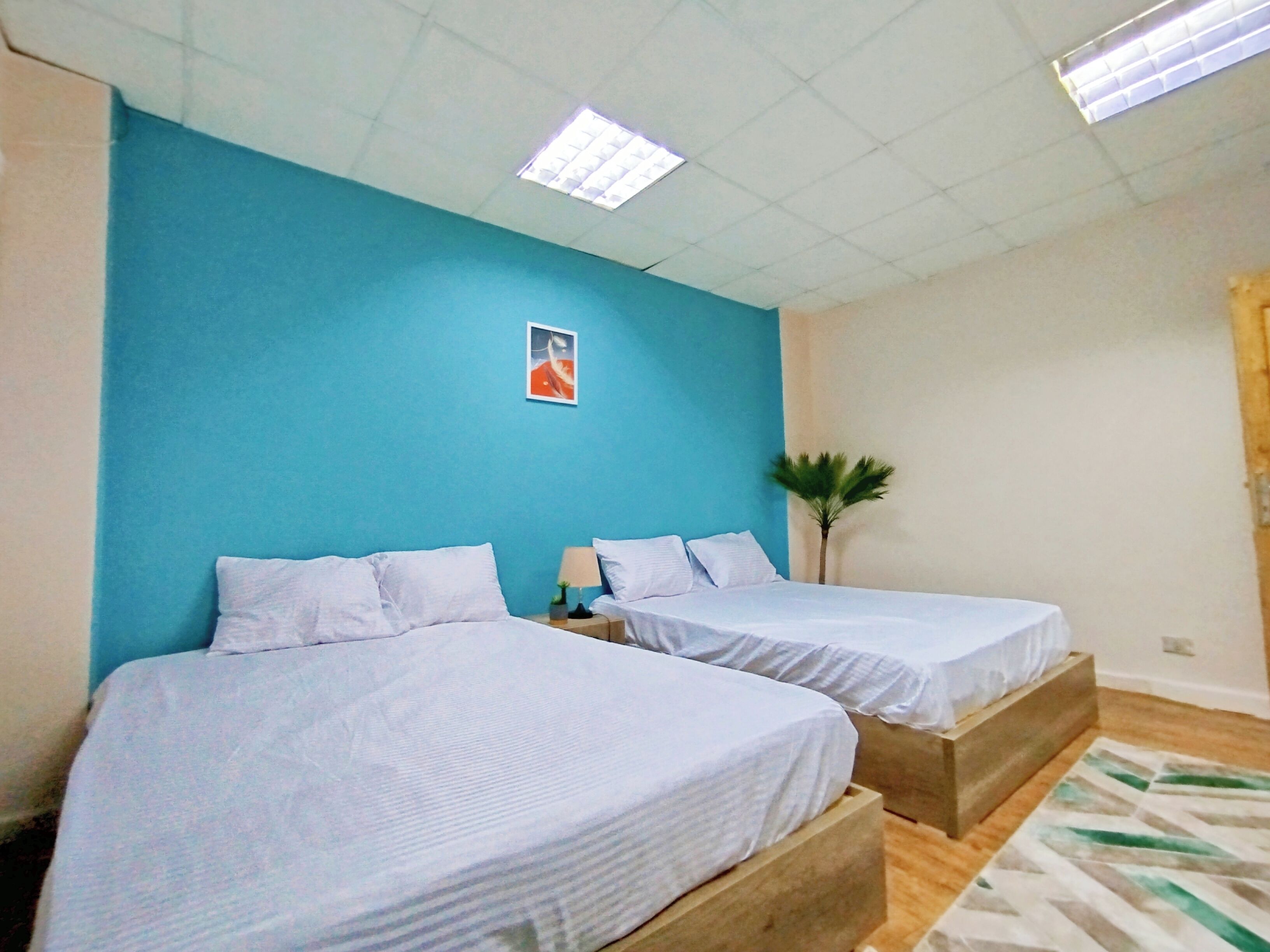 A hotel room with two beds, a blue accent wall, a small plant, and a patterned rug.