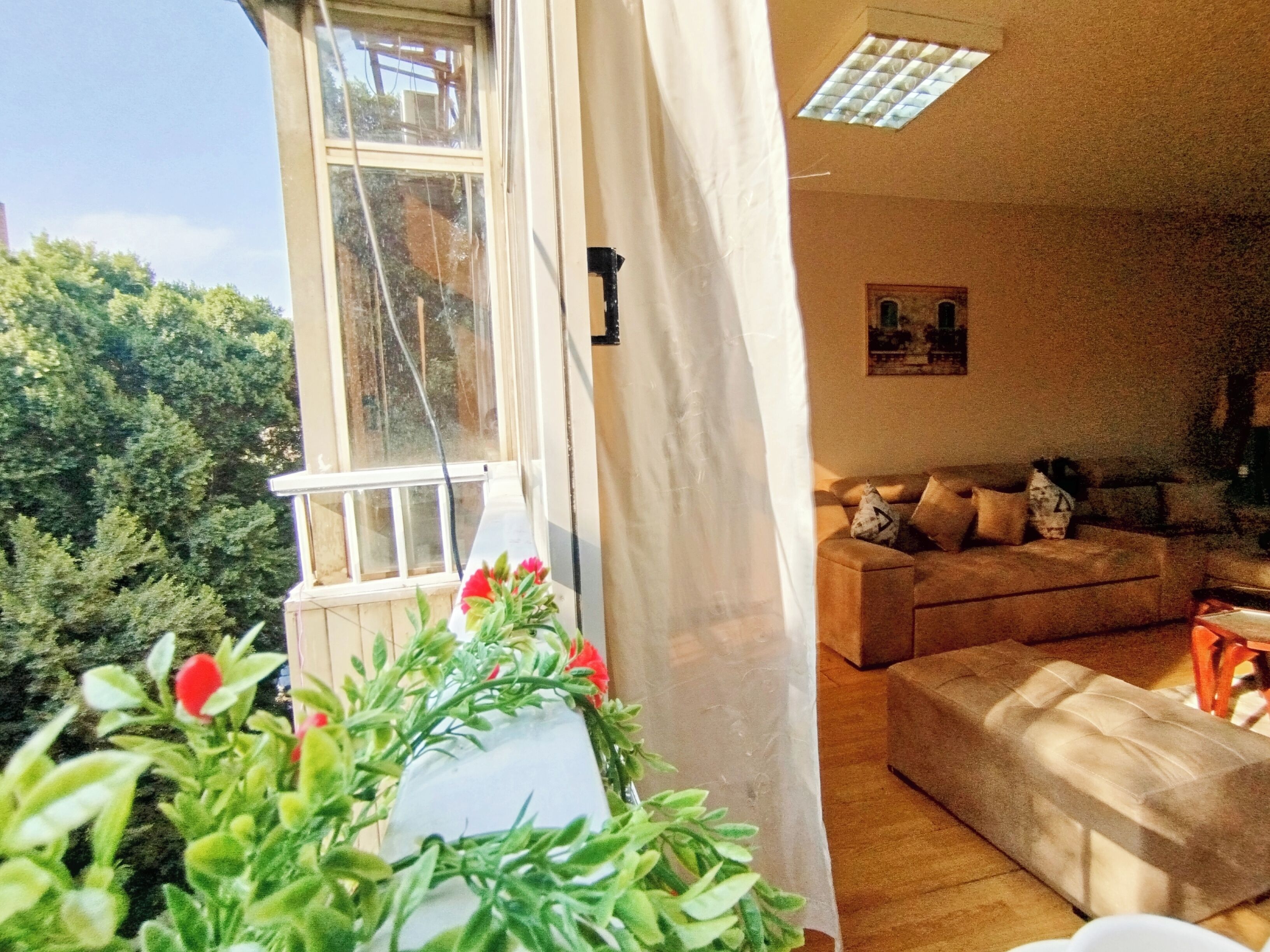 Departamento familiar, vista al jardín | Vista desde la habitación