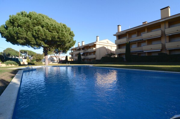 Une piscine à l’eau d’un bleu limpide, entourée d’une pelouse bien entretenue et d’un grand arbre.