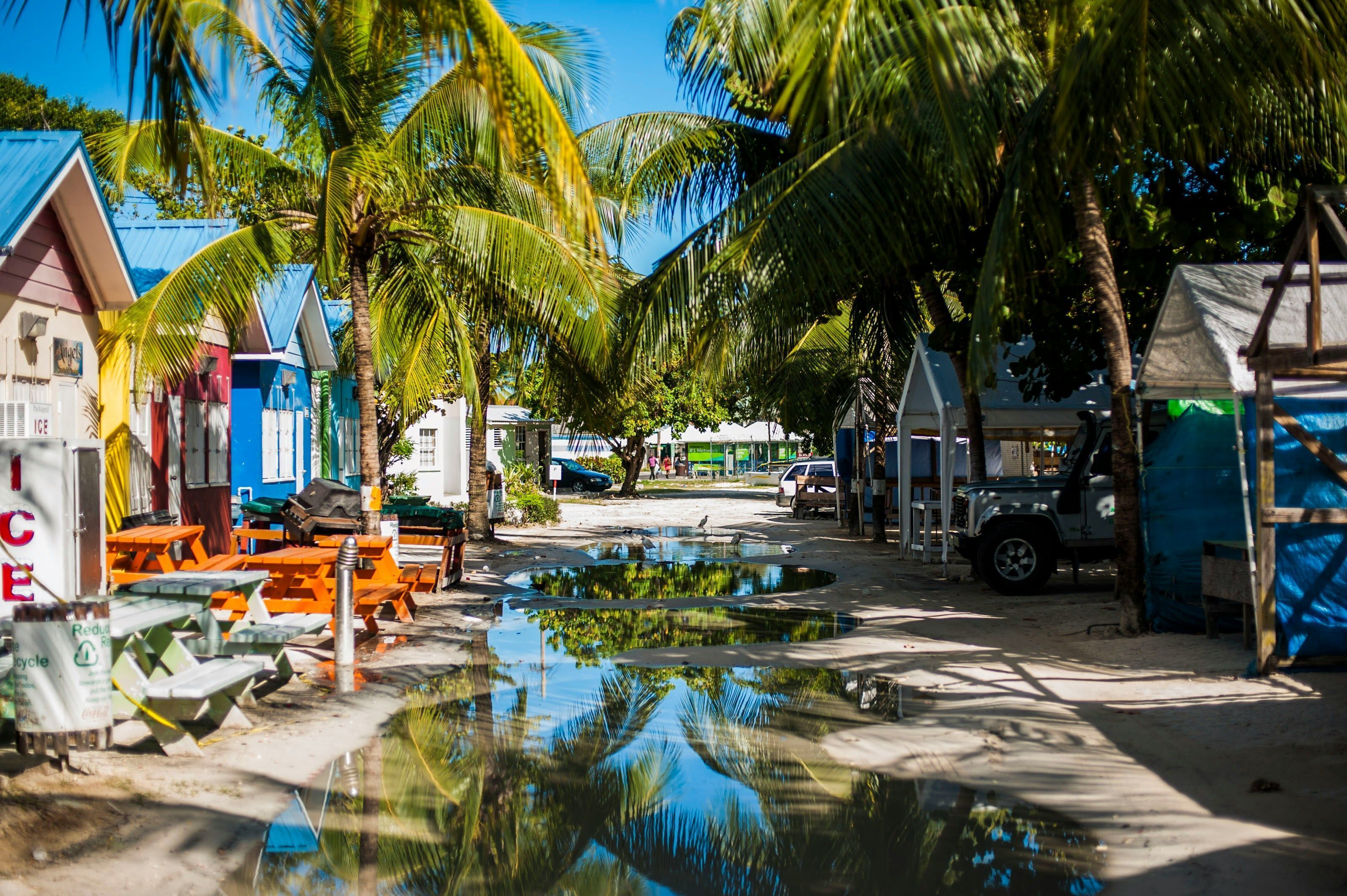 A beachside area with colorful buildings, a parked vehicle, and a small pool reflecting palm trees.