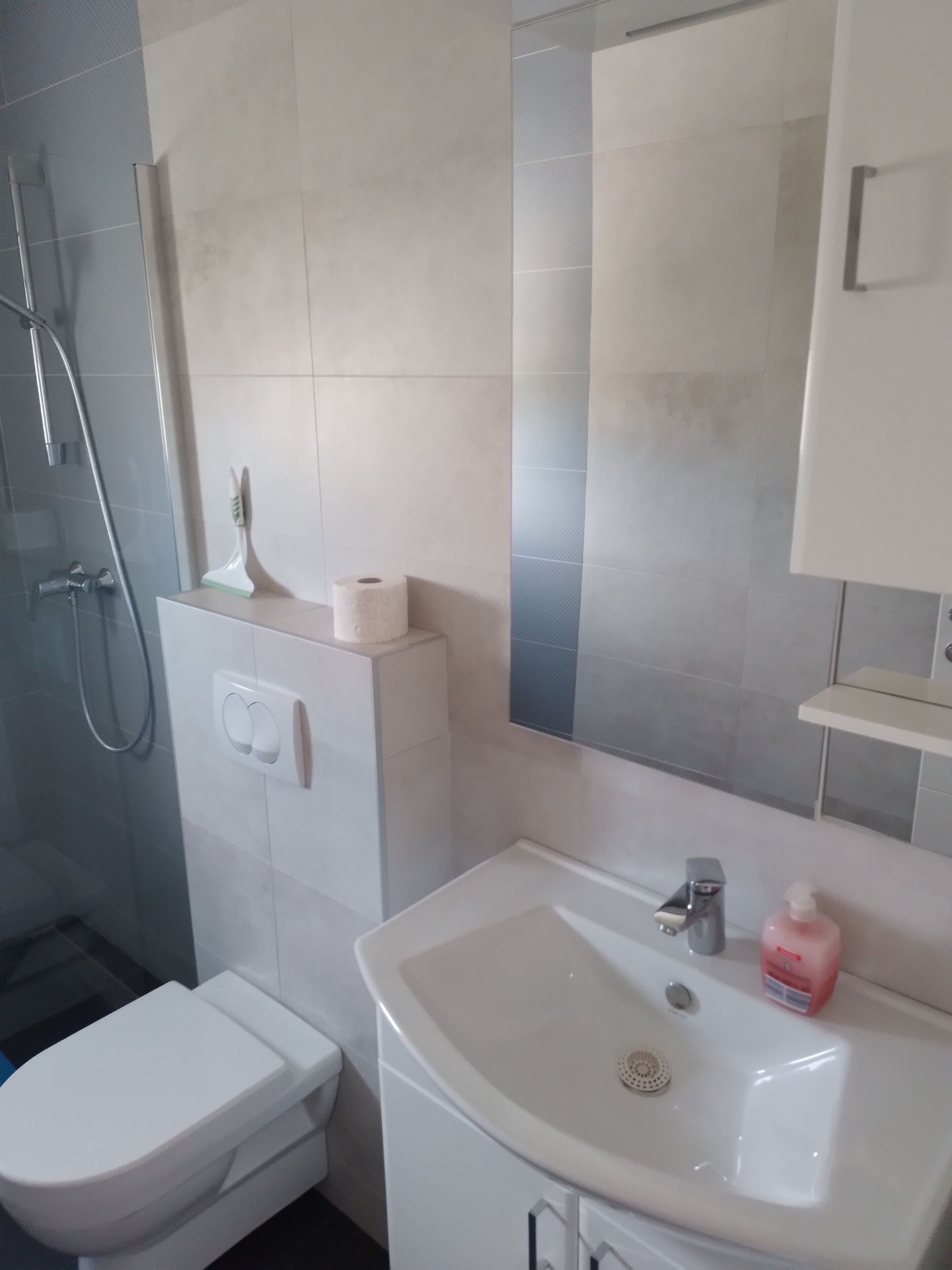 Ein Badezimmer mit Toilette, Waschbecken mit Spiegel darüber und einer Duschkabine.