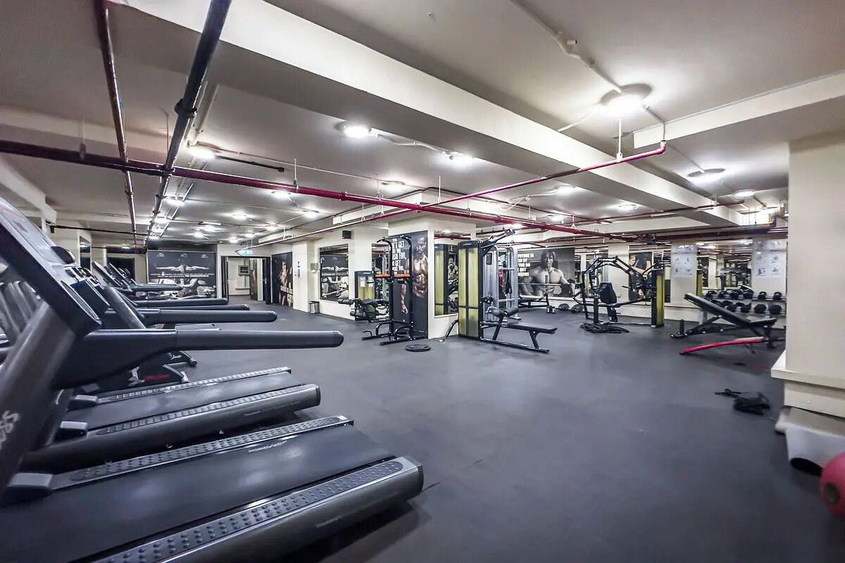 A gym with treadmills, weight machines, and free weights.