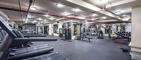 A gym with treadmills, weight machines, and free weights.