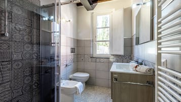 Shower, hair dryer, bidet, towels